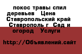 покос травы спил деревьев › Цена ­ 200 - Ставропольский край, Ставрополь г. Сад и огород » Услуги   